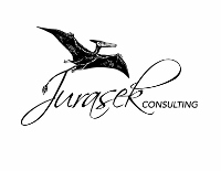 Jurasek  Consulting 
